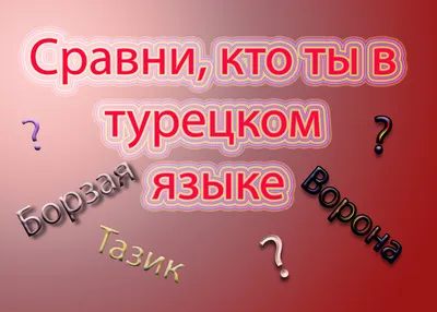 Прикольные турецкие выражения на все случаи жизни | Влюбленная в Турцию |  Дзен