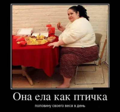 ebobo.ok - У кого так же? #диета#еда#смешныекоты@мемы#приколы#ржака  #диза#юморжизни#котыприколы #арт | Facebook