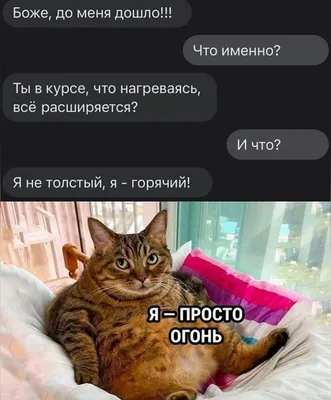 Рецепты Диетолога ПП ЗОЖ Диеты - Всем позитива😂 . . #приколы #прикольно  #прикольчик #прикол #смешно #юмор #юморист #ппюмор | Facebook