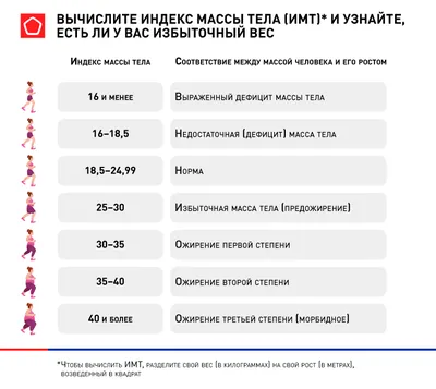 Интересные факты о похудении. Первые 5 фактов или часть первая из двух |  Дамы, давайте худеть вместе | Дзен