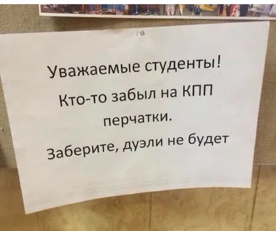 я больше не хочу быть студентом. Отныне я тарелочка для бич пакета. Мем с  котенком | Мемы, Смешные фотографии спорта, Котята