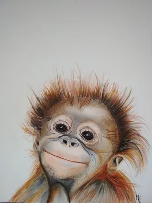 Обезьяна, делая смешное выражение лица обезьяны стороны Стоковое  Изображение - изображение насчитывающей обезьяна, выражение: 192147773