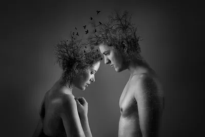 Фотографии мужчина две молодые женщины креативные Серый фон