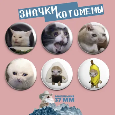 Значки на рюкзак мемные коты и котомемы маленькие 6шт - купить с доставкой  по выгодным ценам в интернет-магазине OZON (1136506272)