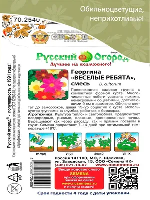 Необычные грядки для вашего сада: оформляем огород | Школа садовода | Дзен