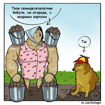 Популярные паблики, сообщества «ВКонтакте» для дачников, садоводов: советы  для большого урожая - 15 июля 2022 - ircity.ru