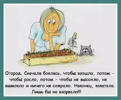 Купить Томат Веселые гондурасики (Сиб.сад) 20шт - Успехагро Кемерово