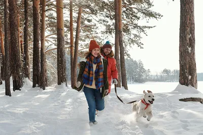 17 вариантов того, как провести зиму на Урале — Наш Урал и весь мир