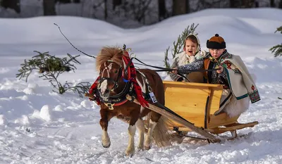 Отдых зимой в Карелии: размещение, развлечения, особенности края в зимнее  время года