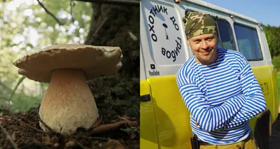 В РФ вступила в силу статья о многолетних тюремных сроках за сбор грибов