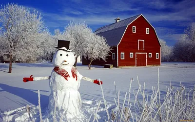 Картинки красивые зима снег с надписями (57 фото) » Картинки и статусы про  окружающий мир вокруг