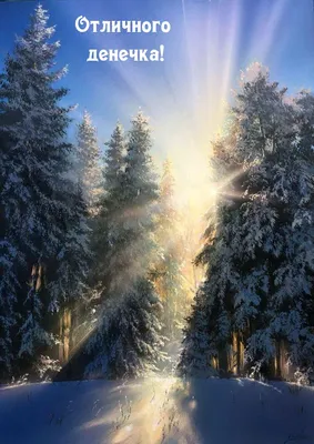 Волшебного Зимнего Дня Картинки – Telegraph