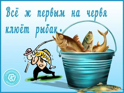 ТОП-10 карикатур про рыбалку | Бородатый Анекдот | Дзен