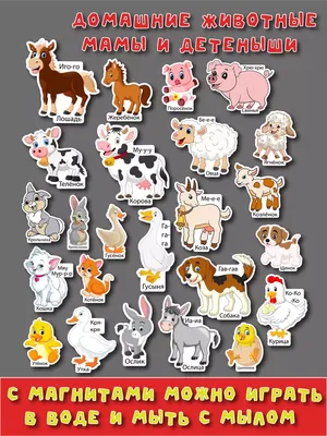 Купить обучающий набор: животные + плакат «Весёлые животные» Забияка, цены  на Мегамаркет | Артикул: 100025589380