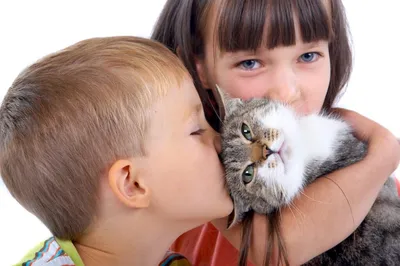 Pin by ivanka kostova on Деца и животни | Baby animals, Animals friends,  Animals beautiful