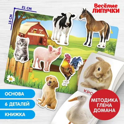 Большая раскраска для детей веселые животные на кольцах а4 - купить с  доставкой по выгодным ценам в интернет-магазине OZON (1284421387)