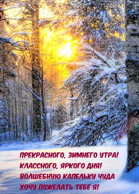 ❄️⛄😍 Картинки с добрым зимним утром - скачать (359 шт.)