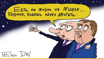 елкин медведев / смешные картинки и другие приколы: комиксы, гиф анимация,  видео, лучший интеллектуальный юмор.