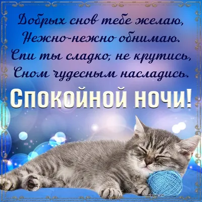 Открытка спокойной ночи с юмором — Slide-Life.ru