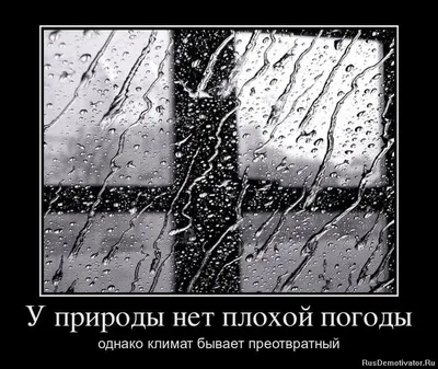 У природы нет плохой погоды Если до весны хлестать коньяк - АйДаПрикол |  Коньяк, Погода, Юмор