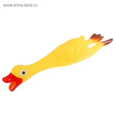 Прикол «Утка», кричит (3913773) - Купить по цене от 126.00 руб. | Интернет  магазин SIMA-LAND.RU