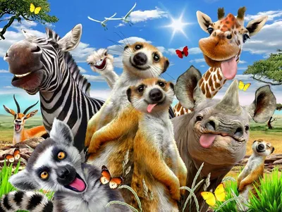 В Танзании выберут самых смешных животных на планете - Новости – Коммерсантъ