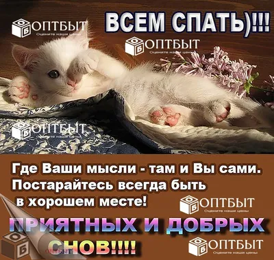 Прикольные открытки \"Спокойной ночи!\" (229 шт.)