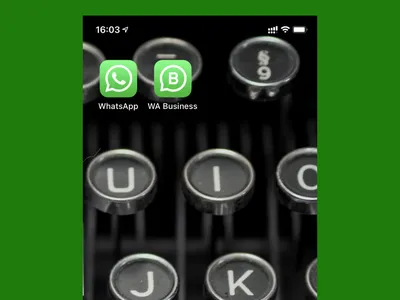 10 функций WhatsApp, о которых вы могли не знать — Журнал Ситилинк