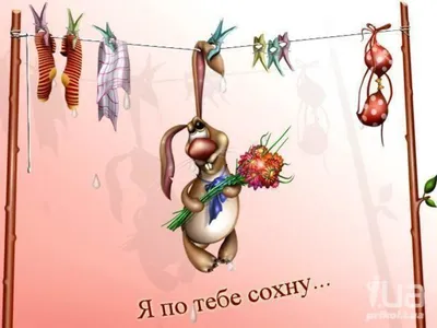 Чашка-прикол \"Моя ты жопка\". Подарочная чашка для любимой (ID#1192320057),  цена: 185 ₴, купить на Prom.ua