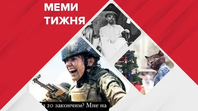 С Днём Народного Единства! / картинка с текстом :: 4 ноября :: кот :: армия  и флот / смешные картинки и другие приколы: комиксы, гиф анимация, видео,  лучший интеллектуальный юмор.