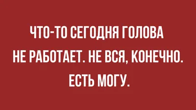 ну ниче в понелельник на одну пару схожу, на послденюю не пойду, во вторник  физра мне пофиг, в сред / Приколы для даунов :: приколы про студентов  (студенческие шутки и юмор, видео,