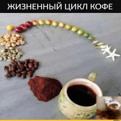 Набор трафаретов для кофе \"Приколы\", 4 шт купить в Баку