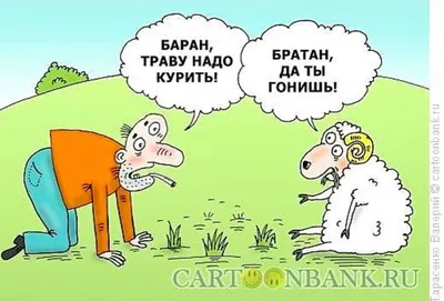 Приколы про наркоманов