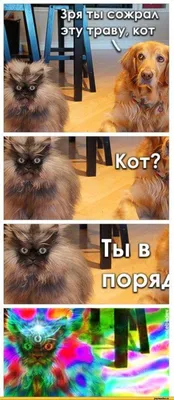 АНЕКДОТ ПРО НАРКОМАНА #анекдоты #юмор #шутки #приколы #мемы | TikTok