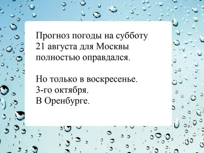 Норд-ост как повод для мемов: о чем шутят новороссийцы в плохую погоду