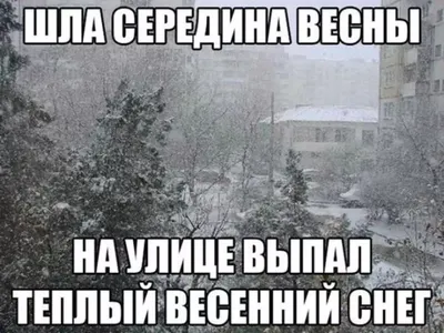 Мемы - Погода по ощущениям... | Facebook