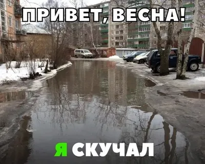 весна / смешные картинки и другие приколы: комиксы, гиф анимация, видео,  лучший интеллектуальный юмор.