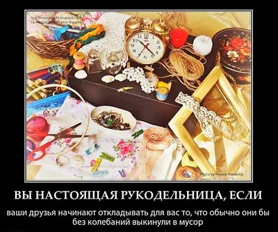Пин от пользователя Настя Кузеванова на доске открытки | Смешные  высказывания, Веселые мысли, Смешные открытки