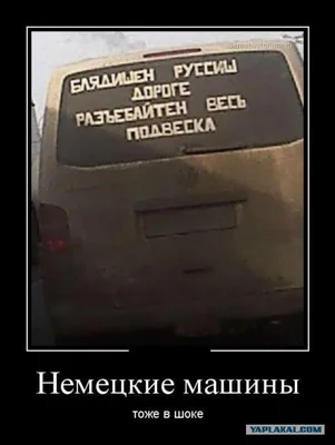 Переделанный в мем знак \"Шипы\" на заднем стекле авто оскорбил водителей —  19.11.2017 — В России на РЕН ТВ