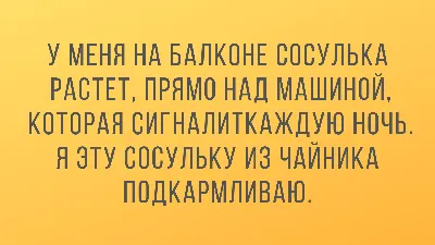 Самые прикольные картинки про водителей (44 фото)