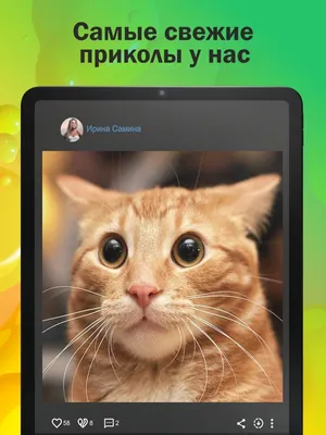 App Store: ГыГы Приколы - мемы и видео