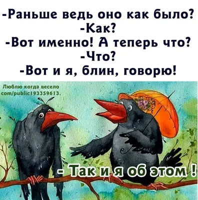 Приколы про животных 2 – смотреть онлайн все 33 видео от Приколы про  животных 2 в хорошем качестве на RUTUBE