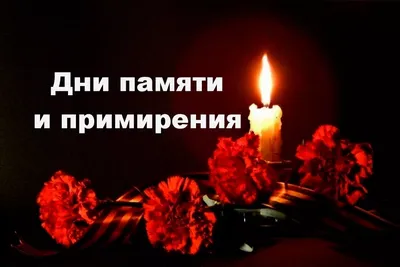 День памяти и примирения 2023 – значение для Украины – Lifestyle 24