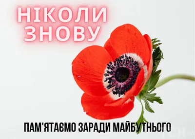 День памяти и примирения 2023: картинки и приветствия — Украина