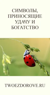 Картины, приносящие удачу, богатство, счастье, деньги, благополучие, любовь  по фен-шуй | ВКонтакте