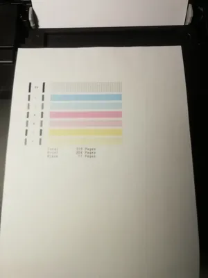 Не печатает все цвета струйный принтер, решение | C7AY PROD | Дзен