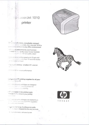 Принтер этикеток плохо или тускло печатает - чистка термоголовки принтера  этикеток