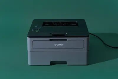 Виды принтеров