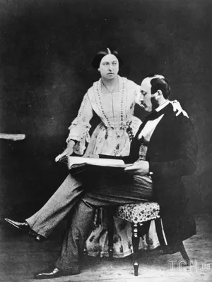 Принц Альберт: обожаемый супруг королевы Англии Виктории | Обаяние истории  | Дзен