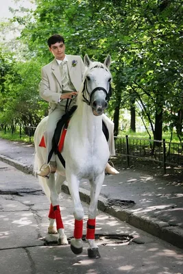 Фантастический принц на коне стоковое фото ©FairytaleDesign 52446905